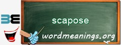 WordMeaning blackboard for scapose